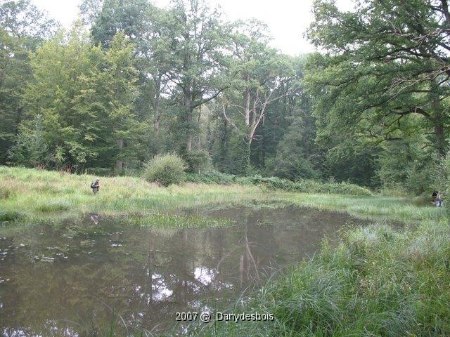 2007 08 Mare aux canes 03